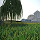 COMPLETE Environment + Grass Vray C4D - 3DOcean Item for Sale