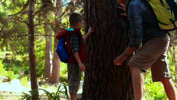 Father and son touching tree trunk in the park