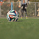 Soccer Goalkeeper Returns the Ball - VideoHive Item for Sale