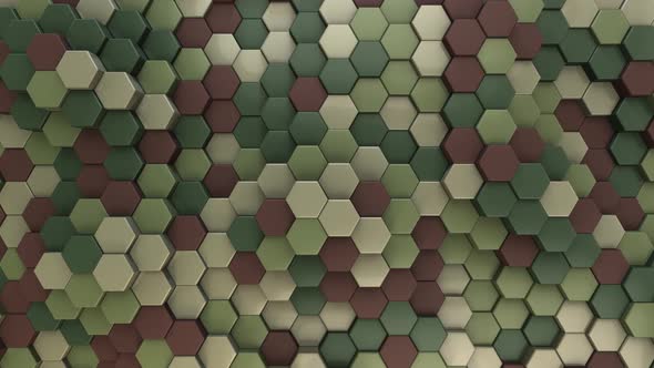 Hexagon Background Camouflage - 4K