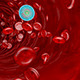 Blood Cells Flowing - VideoHive Item for Sale