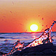 Winter Sunset on the Sea 2 - VideoHive Item for Sale