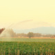 Agricultural Sprinkler in Valley Hills - VideoHive Item for Sale