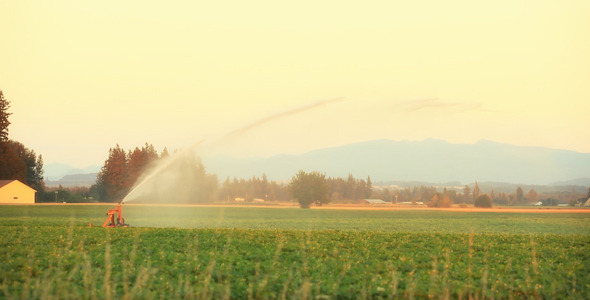 Agricultural Sprinkler in Valley Hills