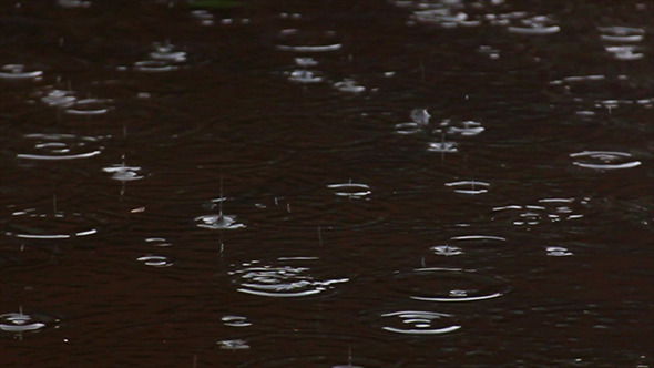 Heavy Rain Drops