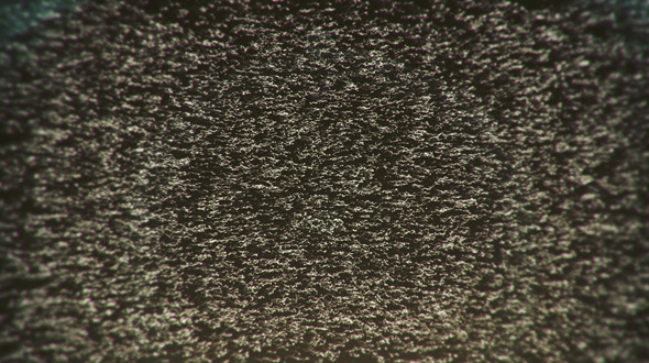 Particulate Life alt