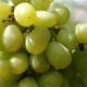 Green Grapes - VideoHive Item for Sale