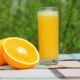 Pouring Fresh Orange Juice Outdoors - VideoHive Item for Sale