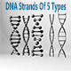 DNA Strands Of 5 Types - 3DOcean Item for Sale