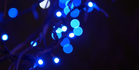 Tree and Blue Lights 1