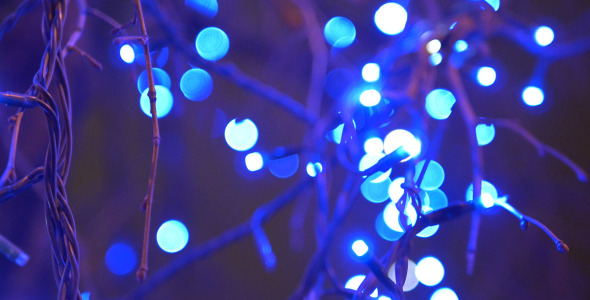 Tree and Blue Lights 2 alt