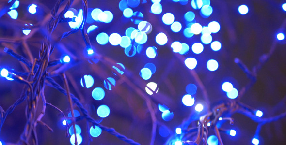 Tree and Blue Lights 2