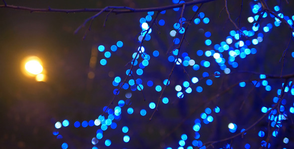 Tree and Blue Lights 3