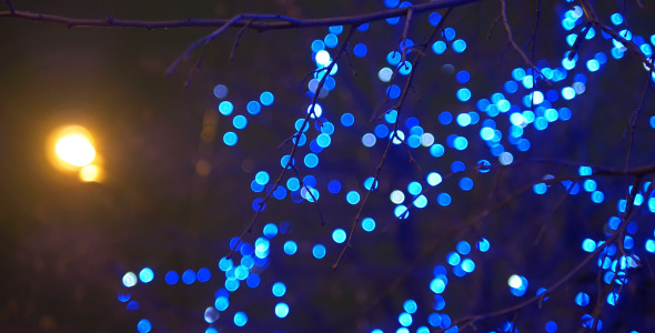 Tree and Blue Lights 3