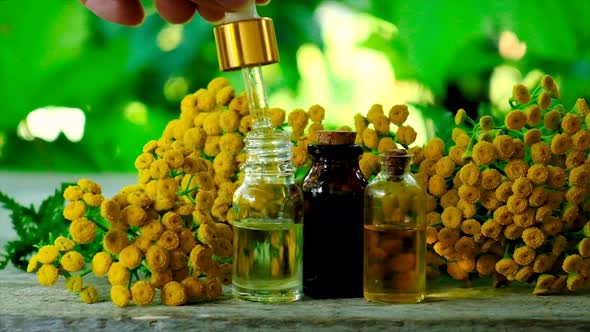 Tansy Extract in a Small Bottle