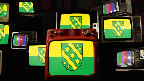 Flag of Reutlingen (district), Germany, on Retro TVs.