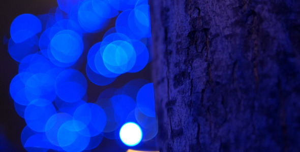Tree and Blue Lights 5
