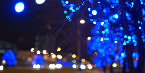 Tree and Blured Road