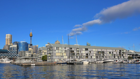 Darling Harbour and Sydney City, Pyrmont