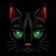 Black Cat Portrait  - GraphicRiver Item for Sale