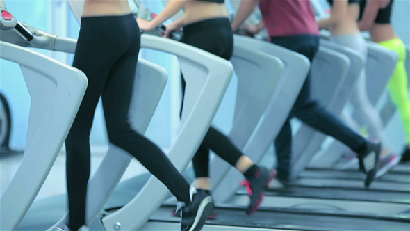 Two Girls Are In The Gym Meet Each Other alt