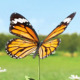 Butterfly Logo Reveal - VideoHive Item for Sale