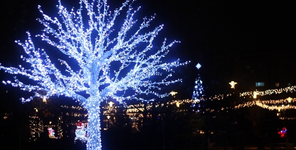 Magic Tree with Lights