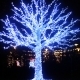 Magic Tree with Lights - VideoHive Item for Sale