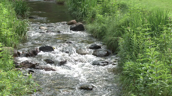 A Small Stream In A Park (1 Of 4)