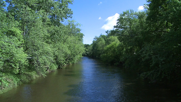 Beautiful River Running Through The Greenery (4 Of 7)
