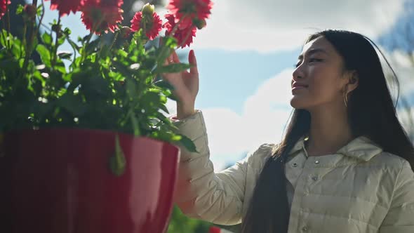 Side View of Happy Asian Smiling Woman Touching Tender Petals of Red Flowers in Pot in Summer Spring