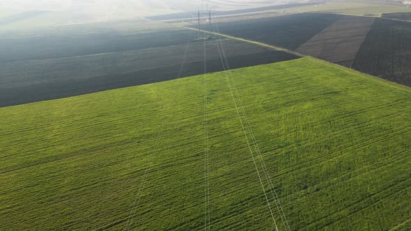 Aerial View of Agricultural Land with Young Spring Wheat with High Voltage Pillars