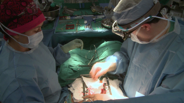Surgeon And Assistant During Surgery (1 Of 2)