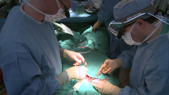 Surgeons Work Together On Heart Patient (8 Of 12)