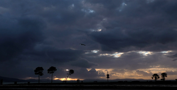 Seaside and Tree 2 alt