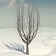 Winter Tree 1 - 3DOcean Item for Sale