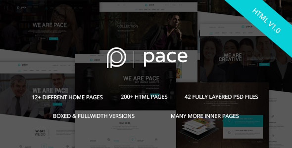 Pace - Responsive MultiPurpose HTML5 Template