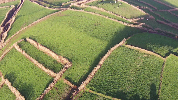 Flying Over the Agricultural Green Fields