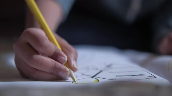  Child Boy Drawing with Colored Pencil on a Page.