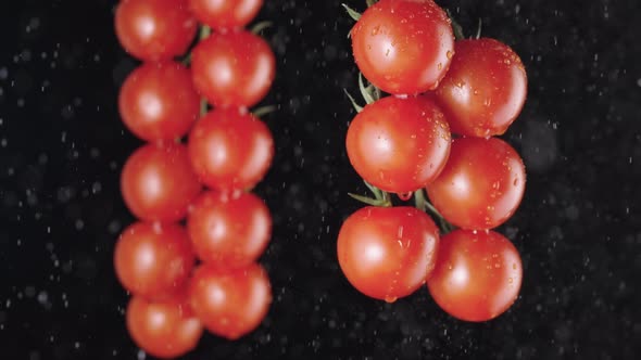 Red Ripe Tomatoes Cluster in Super Slow Motion Watering By Droplets