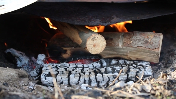 Fire Wood