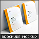 Brochure / Catalog Mock-Up v.2 - GraphicRiver Item for Sale
