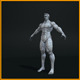Realistic Male Body - 3DOcean Item for Sale