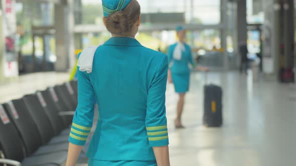 Back View of Slim Stewardess in Blue Uniform Walking To Colleague in Airport Terminal. Happy Young