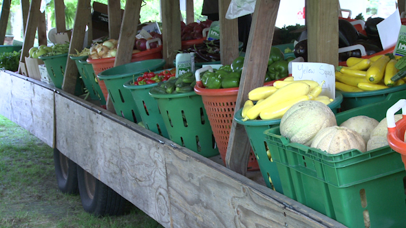 Fresh Farmers Market (2 Of 6)