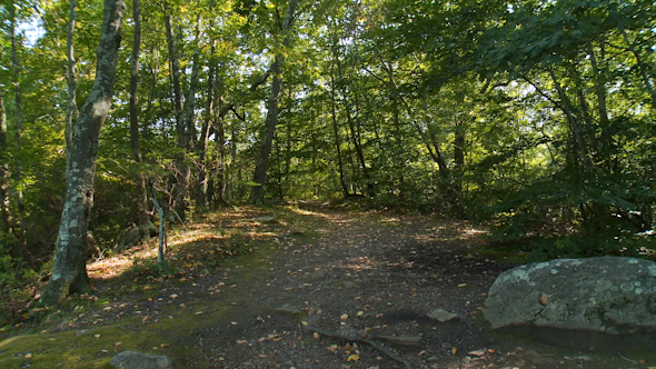 Nature Conservancy Trail (1 Of 9)