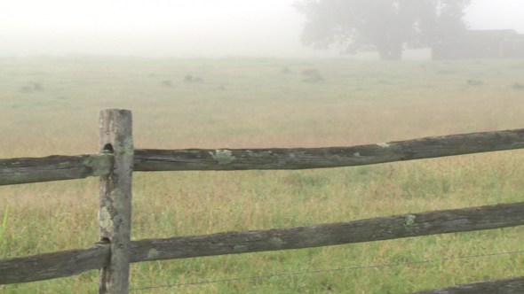 Looking Over A Split Rail Fence To Horses On A Foggy Meadow 1