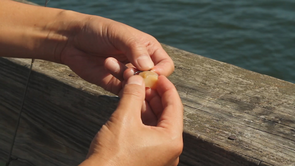 Man Baiting Hook On Fishing Line