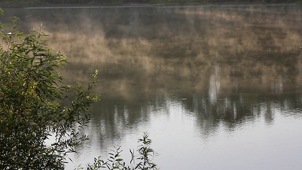 Morning With Mist Over River