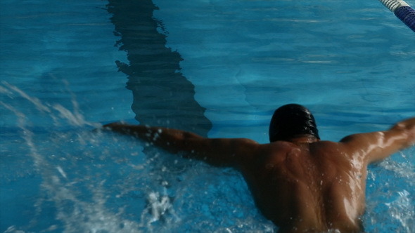 Swimmer in a Pool